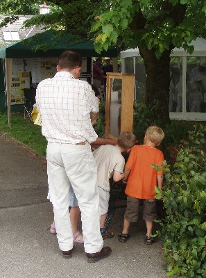 People looking at the observation hive